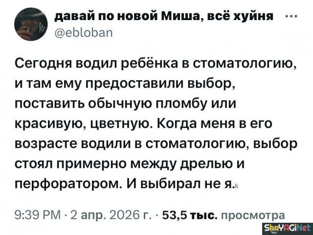 Свежие перлы из комментариев: над чем смеется интернет приколы, юмор, соцсети, комментарии, смешное, подборка