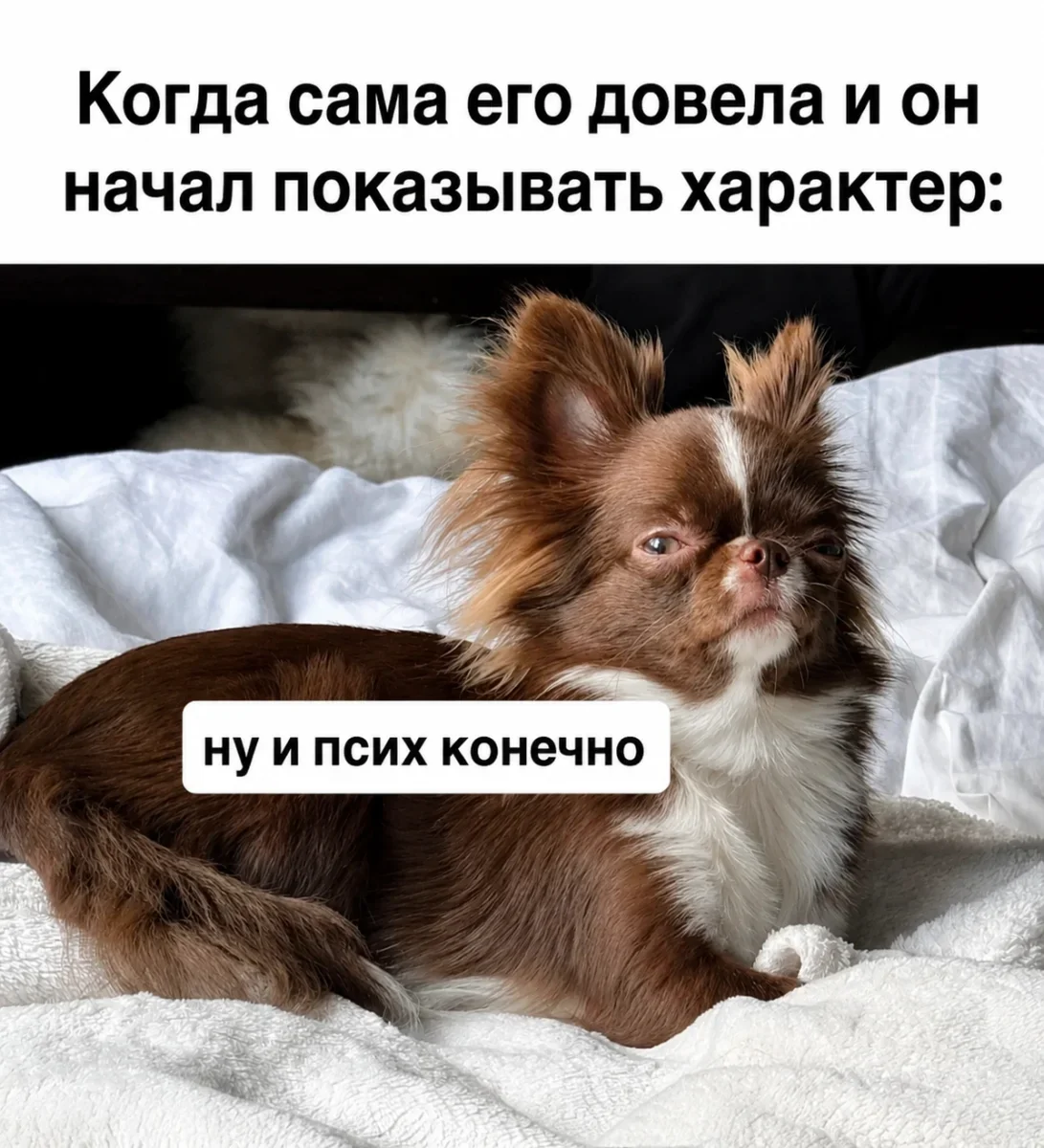 Смешные картинки за 3 июля: суши и глобус