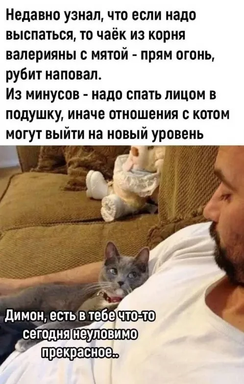 Утро выходного дня: топ свежих мемов приколы, мемы, картинки, юмор, подборка