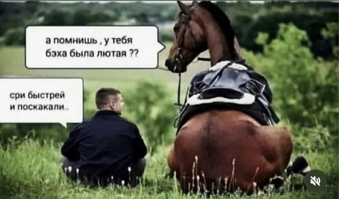 Утро выходного дня: топ свежих мемов приколы, мемы, картинки, юмор, подборка