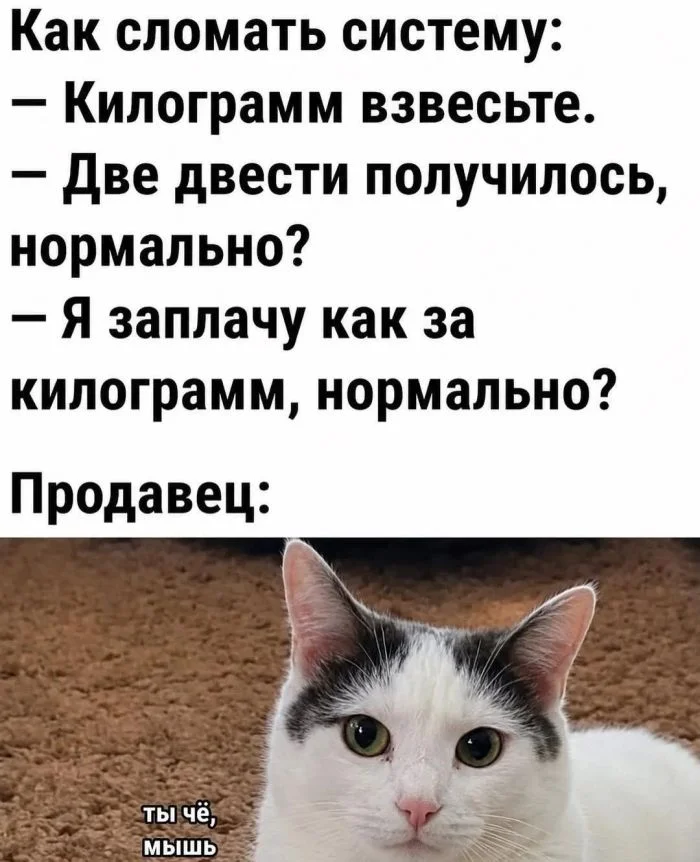 Утро выходного дня: топ свежих мемов приколы, мемы, картинки, юмор, подборка