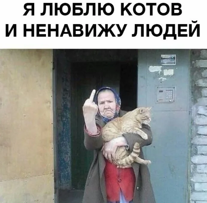 Утро выходного дня: топ свежих мемов приколы, мемы, картинки, юмор, подборка