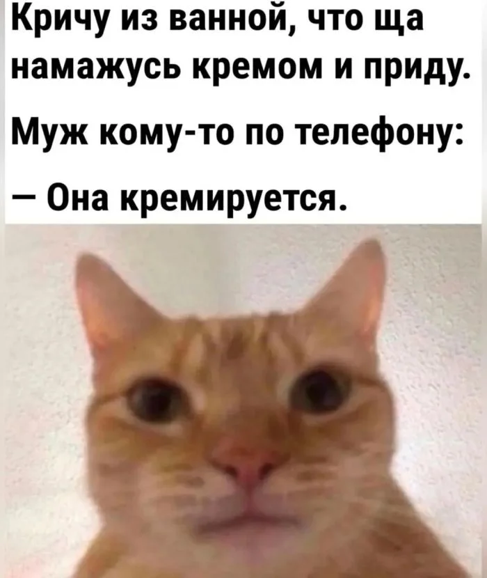 Утро выходного дня: топ свежих мемов приколы, мемы, картинки, юмор, подборка