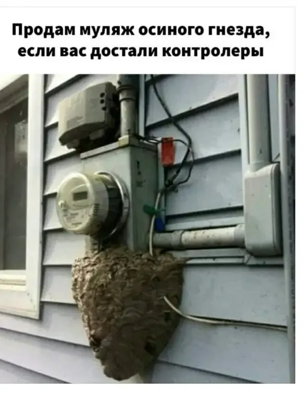 Жизненные парадоксы: от борща до крокодилов Жизненные парадоксы: от борща до крокодилов юмор, приколы, отношения, стереотипы, подборка