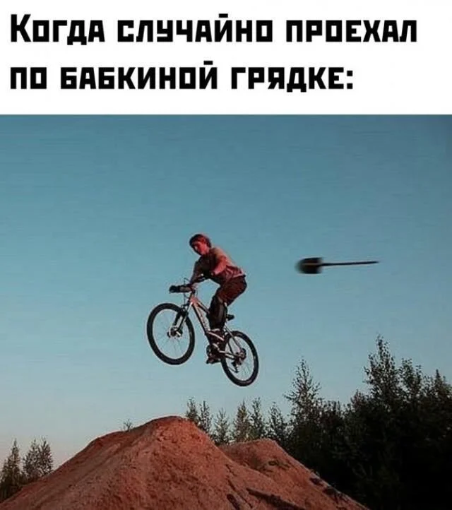 Лето — это маленькая жизнь: 15 мемов, которые поднимут настроение мемы, приколы, лето, картинки, юмор, подборка