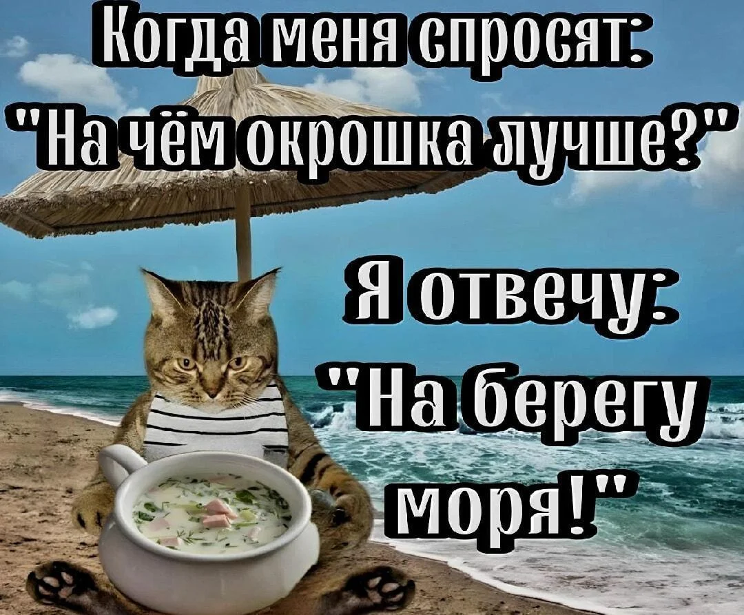 Лето — это маленькая жизнь: 15 мемов, которые поднимут настроение мемы, приколы, лето, картинки, юмор, подборка