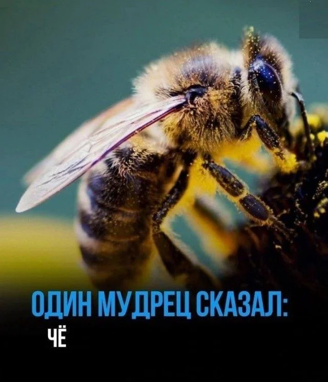 Осторожно, чай! Подборка мемов, которые заставят поперхнуться