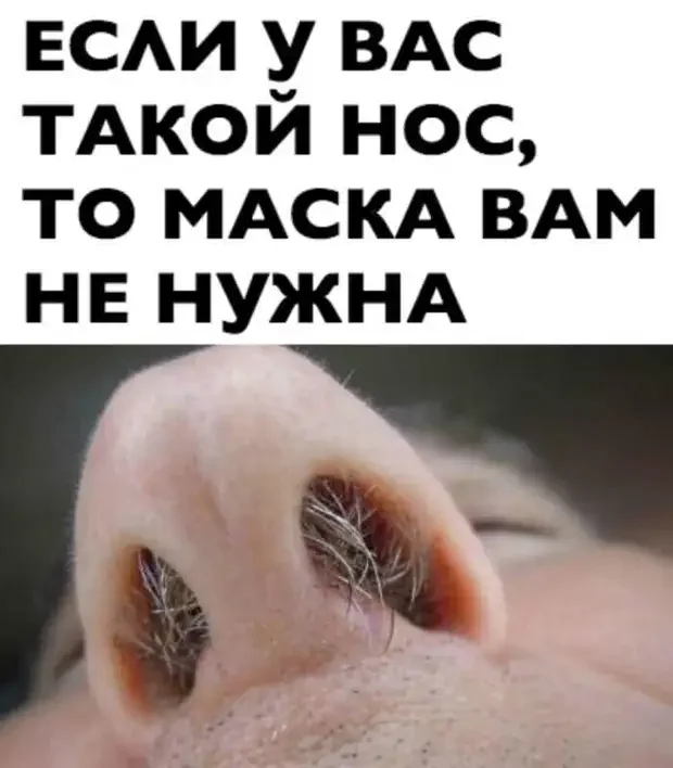 И смех, и грех: подборка анекдотов на вечер анекдоты, юмор, смешное, подборка, приколы, короткие истории