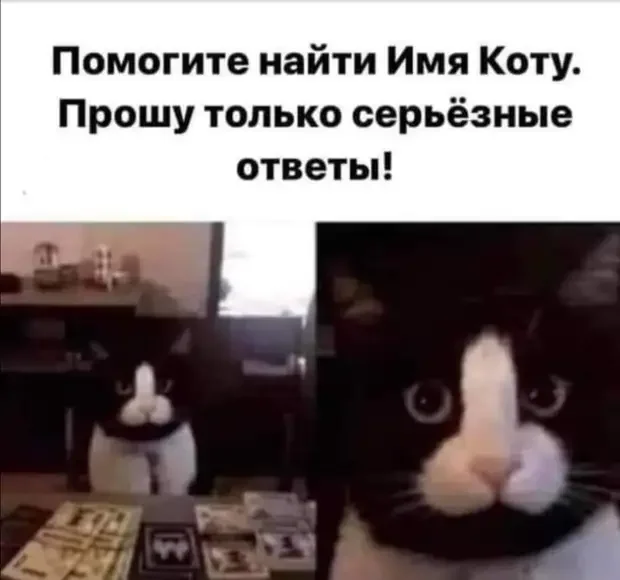 Подборка анекдотов, от которых порвёте животики Подборка анекдотов, от которых порвёте животики анекдоты, юмор, приколы, смешное