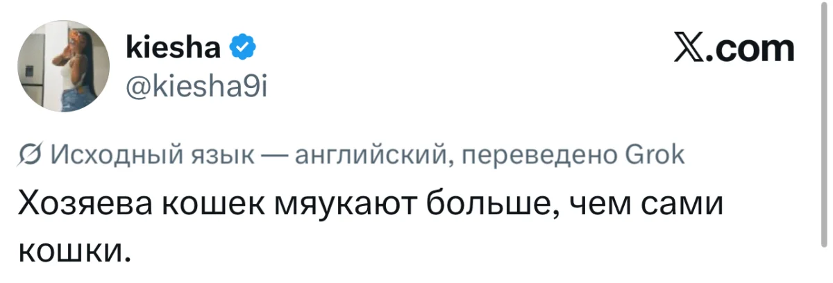 16 убойных шуток недели и испытание для смелых 16 убойных шуток недели и испытание для смелых юмор, твиттер, мемы, шутки, блокировка, смешное, подборка, неделя