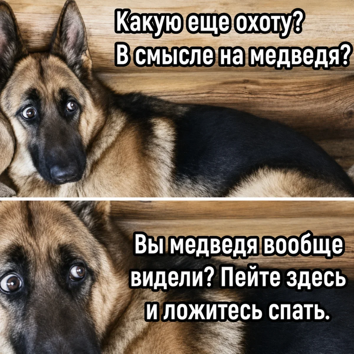 Мемы недели: терапия смехом перед рабочей неделей Мемы недели: терапия смехом перед рабочей неделей мемы, шутки, приколы, картинки, неделя, юмор