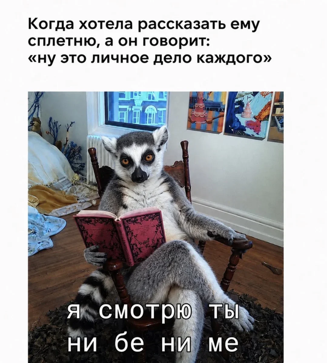 Мемы недели: терапия смехом перед рабочей неделей Мемы недели: терапия смехом перед рабочей неделей мемы, шутки, приколы, картинки, неделя, юмор