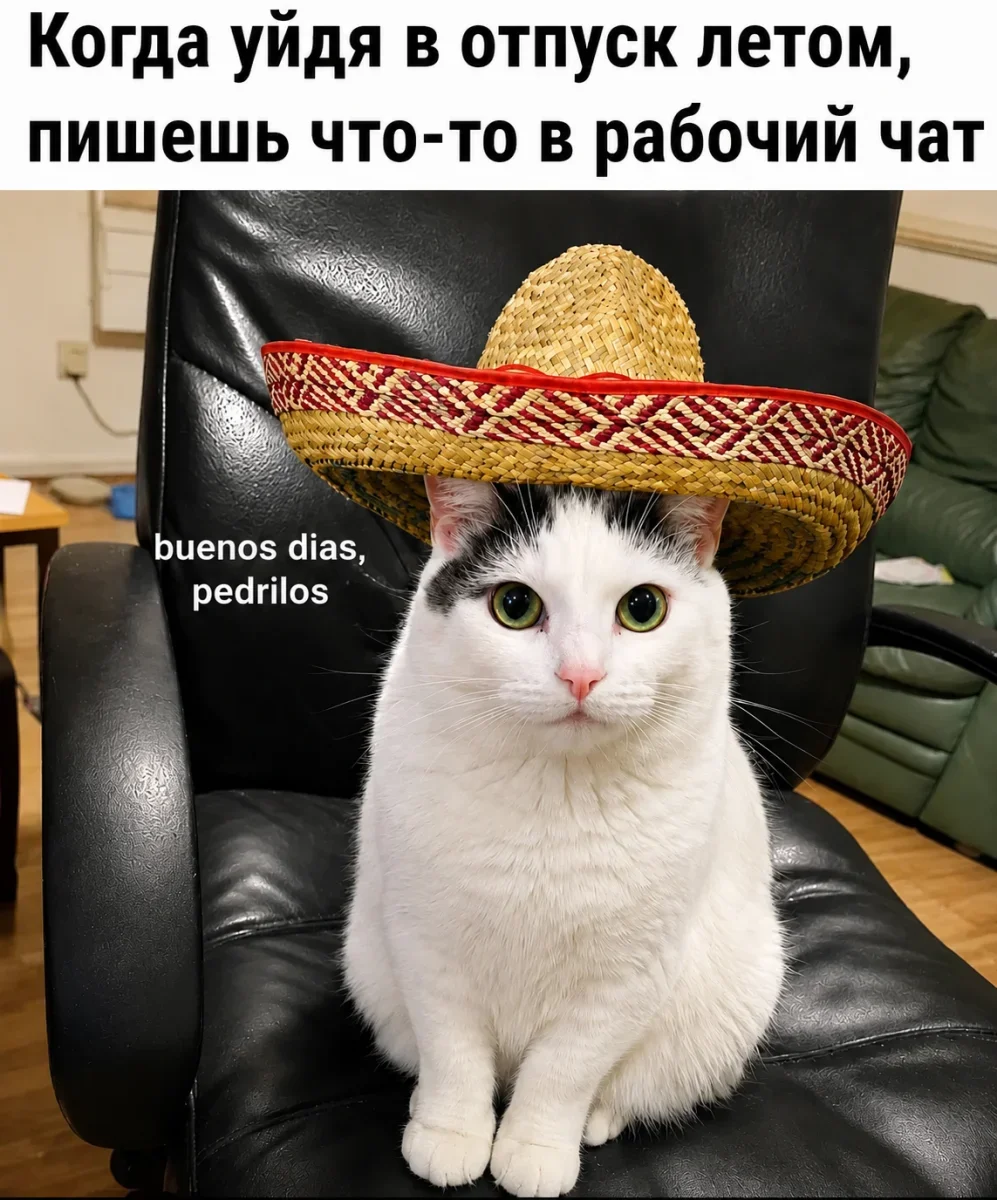 Мемы недели: терапия смехом перед рабочей неделей Мемы недели: терапия смехом перед рабочей неделей мемы, шутки, приколы, картинки, неделя, юмор
