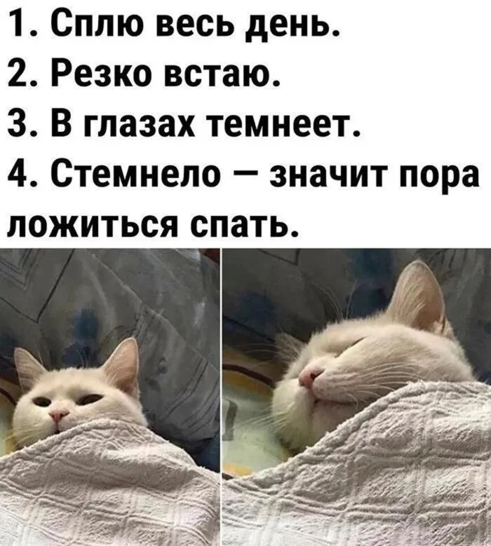 Понедельник: заряжаемся юмором и позитивом юмор, мемы, приколы, понедельник, картинки, смешное