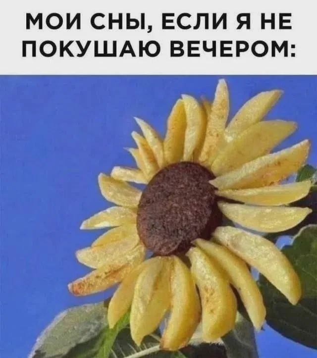 Понедельник: заряжаемся юмором и позитивом юмор, мемы, приколы, понедельник, картинки, смешное