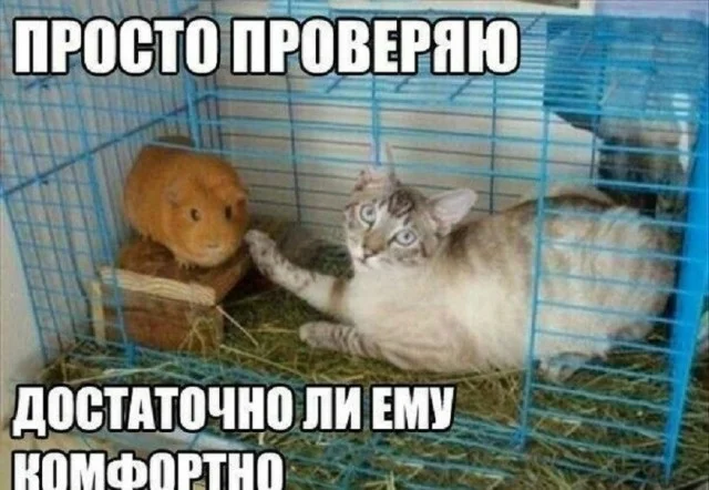 Понедельник: заряжаемся юмором и позитивом юмор, мемы, приколы, понедельник, картинки, смешное