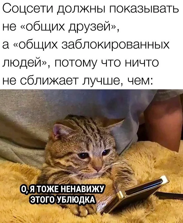 Понедельник: заряжаемся юмором и позитивом юмор, мемы, приколы, понедельник, картинки, смешное