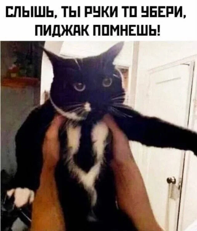 Понедельник: заряжаемся юмором и позитивом юмор, мемы, приколы, понедельник, картинки, смешное
