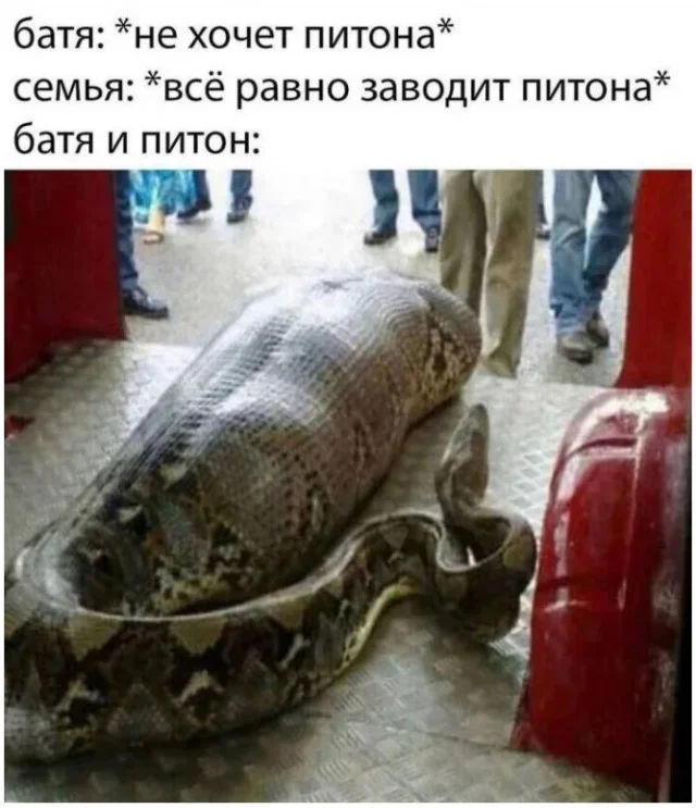 Уморительная подборка: мемы и картинки, которые развеселят кого угодно приколы, мемы, смешные картинки, юмор, подборка