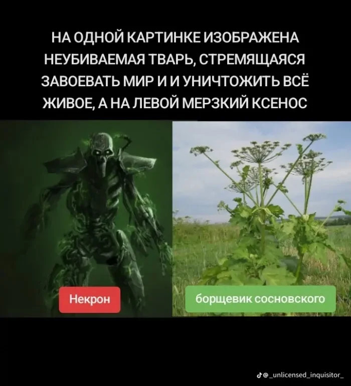Уморительная подборка: мемы и картинки, которые развеселят кого угодно приколы, мемы, смешные картинки, юмор, подборка