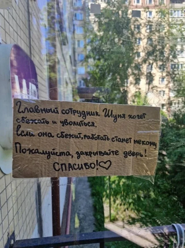 Уморительная подборка: мемы и картинки, которые развеселят кого угодно приколы, мемы, смешные картинки, юмор, подборка