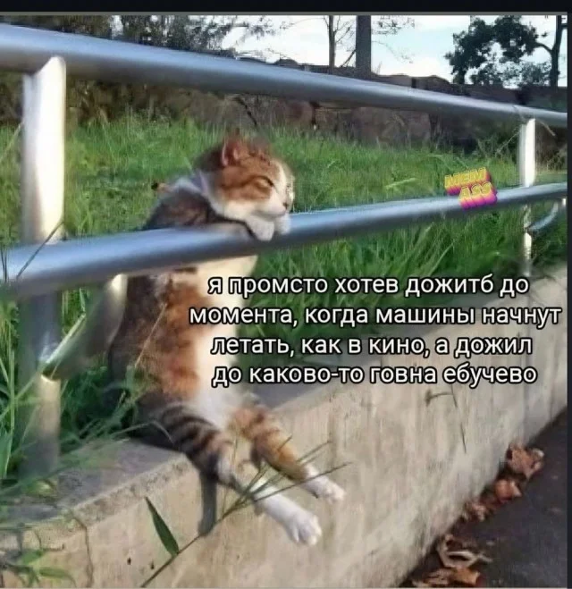 Уморительная подборка: мемы и картинки, которые развеселят кого угодно приколы, мемы, смешные картинки, юмор, подборка