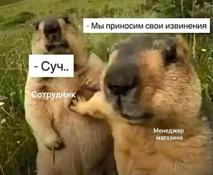 Уморительная подборка: мемы и картинки, которые развеселят кого угодно приколы, мемы, смешные картинки, юмор, подборка