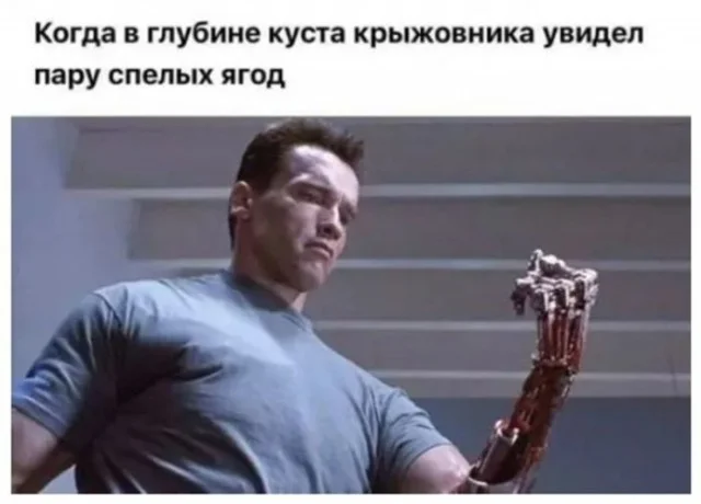 Уморительная подборка: мемы и картинки, которые развеселят кого угодно приколы, мемы, смешные картинки, юмор, подборка