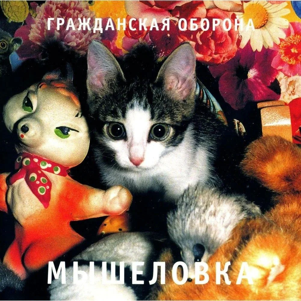 Коты на виниле: 25 лучших рок-обложек с усатыми-полосатыми Коты на виниле: 25 лучших рок-обложек с усатыми-полосатыми музыка, коты, рок, обложки, альбомы, коллекция