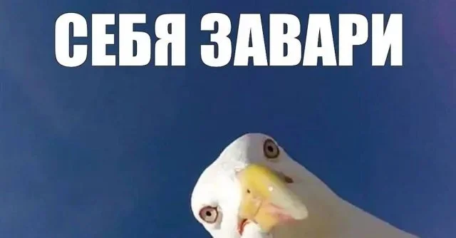 Утренняя порция смеха: мемы 7 июля