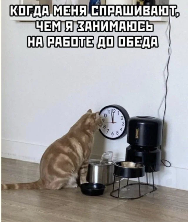 Классика интернет-юмора: мемы, которые не стареют Классика интернет-юмора: мемы, которые не стареют мемы, приколы, ностальгия, классика, смешное