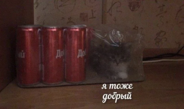 Классика интернет-юмора: мемы, которые не стареют Классика интернет-юмора: мемы, которые не стареют мемы, приколы, ностальгия, классика, смешное