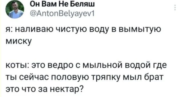 Классика интернет-юмора: мемы, которые не стареют Классика интернет-юмора: мемы, которые не стареют мемы, приколы, ностальгия, классика, смешное