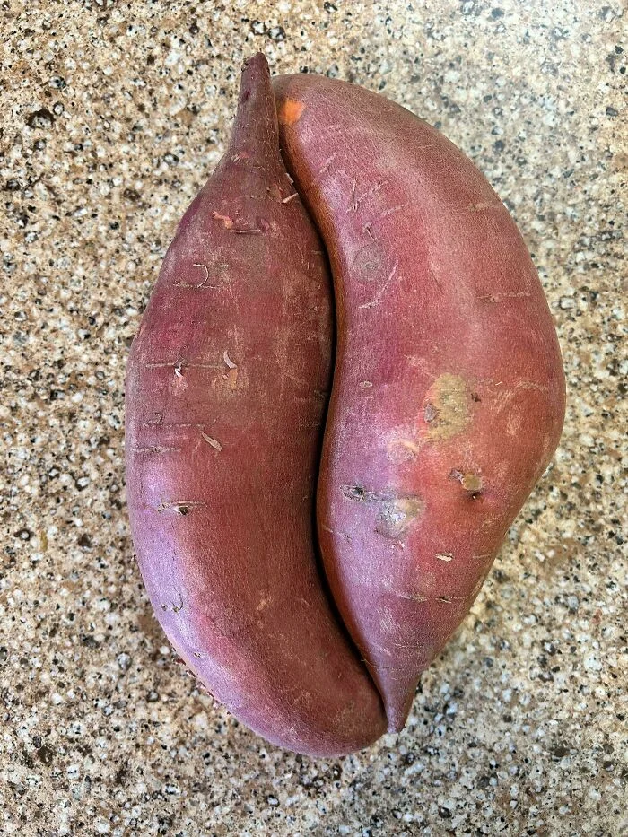 Мир сошёлся: 18 случайных кадров, которые выглядят как постановка совпадения, приколы, фото, удача, жизнь