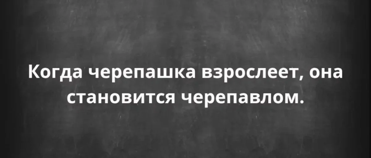Середина недели в мемах: улыбка без повода Середина недели в мемах: улыбка без повода юмор, мемы, среда, подборка, смешное