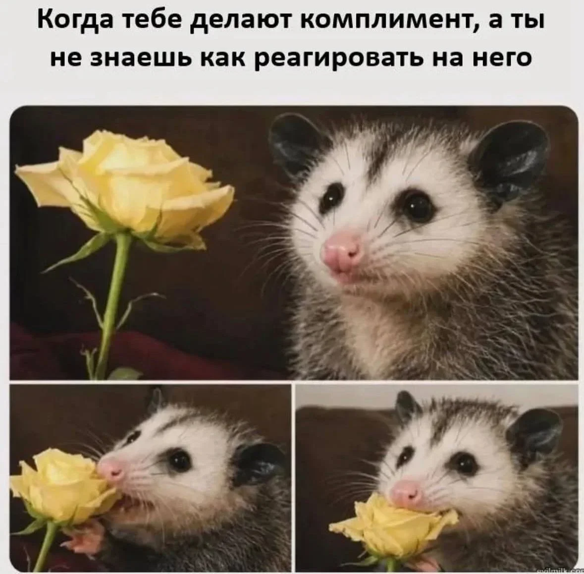 Середина недели в мемах: улыбка без повода Середина недели в мемах: улыбка без повода юмор, мемы, среда, подборка, смешное