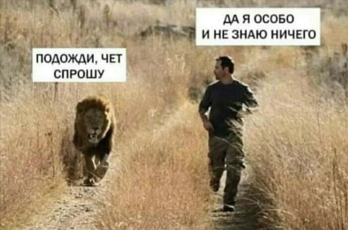 Середина недели в мемах: улыбка без повода Середина недели в мемах: улыбка без повода юмор, мемы, среда, подборка, смешное