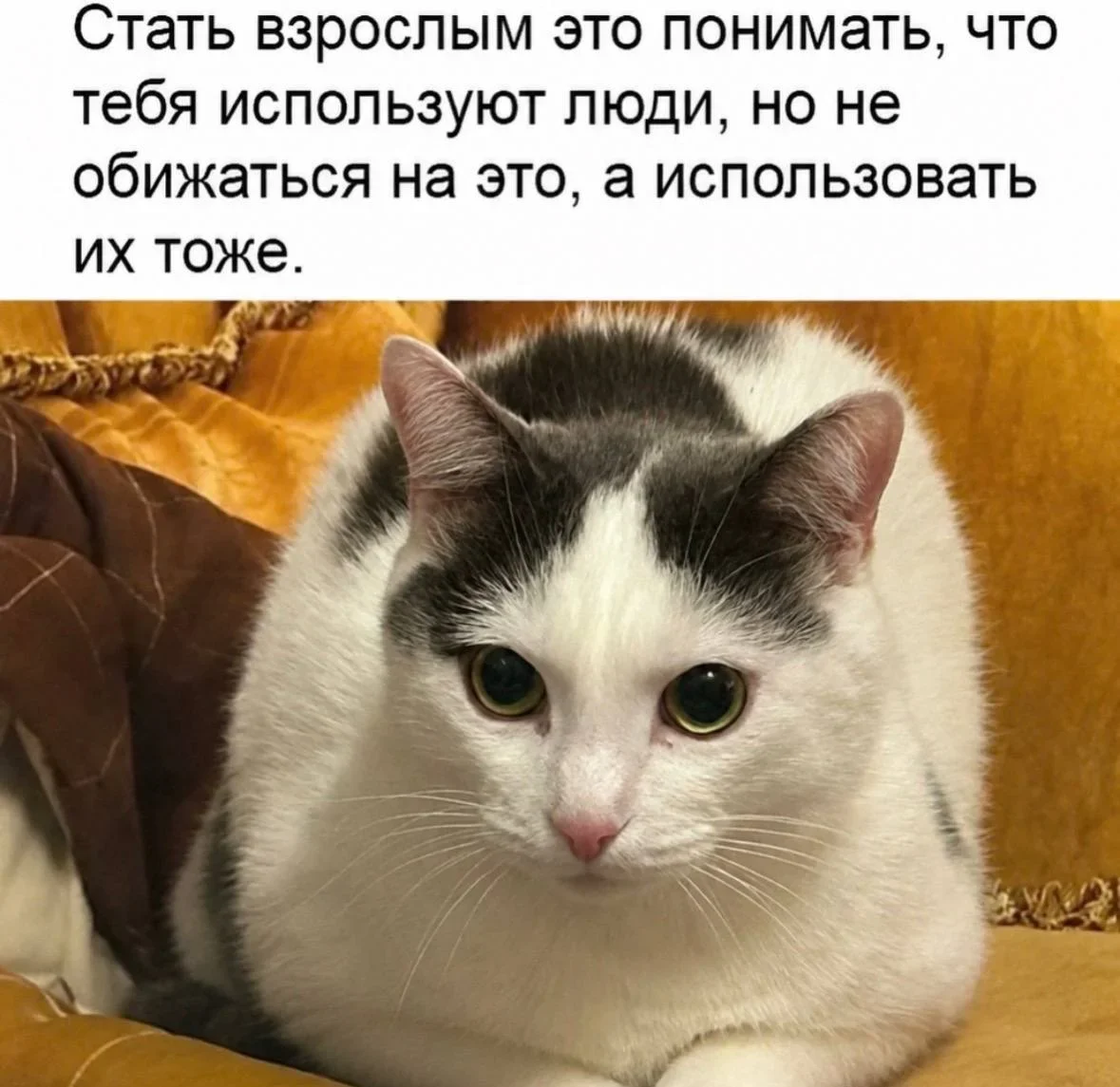 Середина недели в мемах: улыбка без повода Середина недели в мемах: улыбка без повода юмор, мемы, среда, подборка, смешное