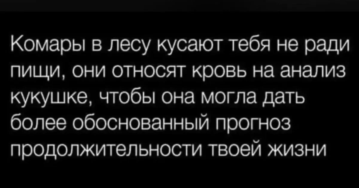 Середина недели в мемах: улыбка без повода юмор, мемы, среда, подборка, смешное