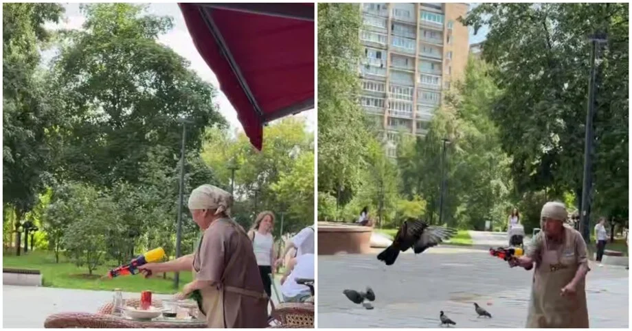 Пернатый десант против водяного пистолета: битва за еду в московском кафе Пернатый десант против водяного пистолета: битва за еду в московском кафе голуби, водяной пистолет, москва, кафе, видео, борьба с птицами, еда