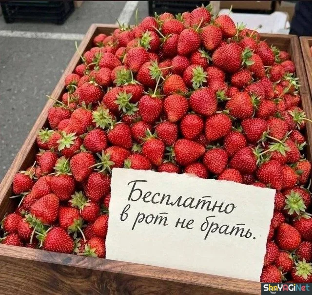 Креатив на грани: подборка объявлений, от которых сложно удержать улыбку