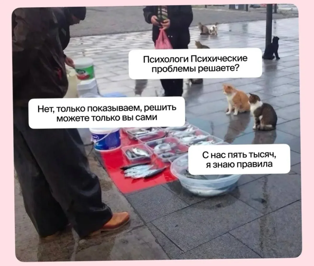 24 мема, которые поставят тебе диагноз быстрее психолога 24 мема, которые поставят тебе диагноз быстрее психолога мемы, психология, юмор, подборка, приколы