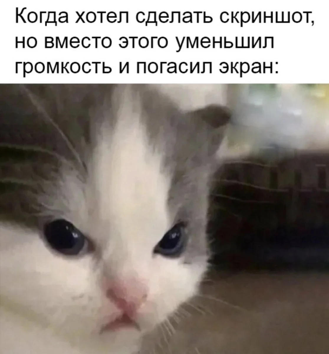 Четверговый юмор: подборка мемов за день Четверговый юмор: подборка мемов за день юмор, мемы, картинки, приколы, работа, жизнь