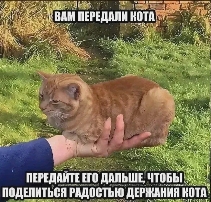 Пятничный угар: лучшие мемы и приколы