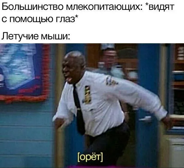 Киномемы, от которых порвёшь живот: драма и смех в одном флаконе мемы, кино, юмор, подборка, смешные картинки