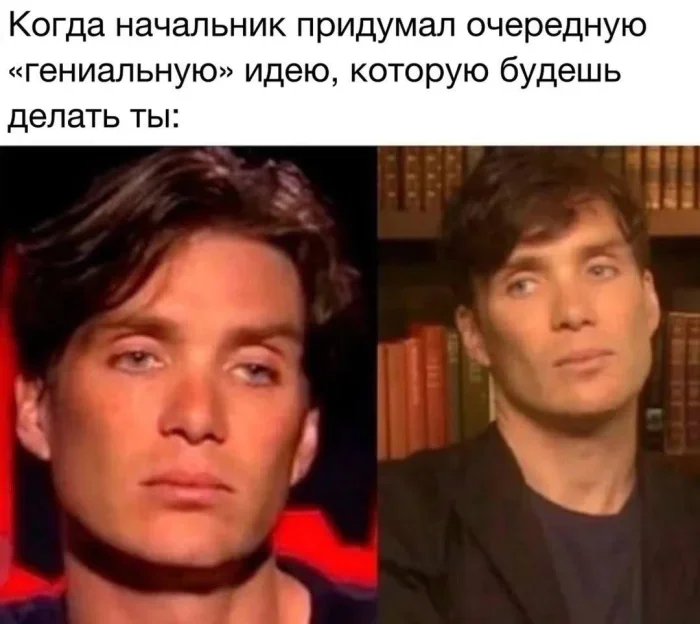 Киномемы, от которых порвёшь живот: драма и смех в одном флаконе мемы, кино, юмор, подборка, смешные картинки
