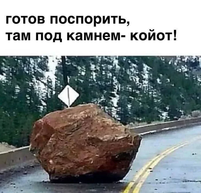 Киномемы, от которых порвёшь живот: драма и смех в одном флаконе мемы, кино, юмор, подборка, смешные картинки