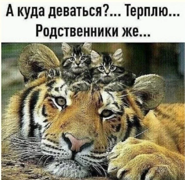 Когда реальность подкидывает мемы: 15 кадров Когда реальность подкидывает мемы: 15 кадров мемы, приколы, фото, жизнь, юмор