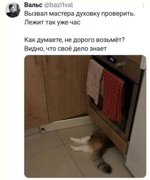 Когда реальность подкидывает мемы: 15 кадров Когда реальность подкидывает мемы: 15 кадров мемы, приколы, фото, жизнь, юмор