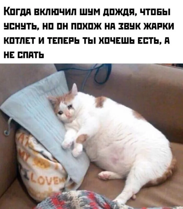 25 сочных мемов про жареное мясо, от которых слюнки потекут 25 сочных мемов про жареное мясо, от которых слюнки потекут мемы, картинки, приколы, еда, мясо, шашлык, жареное, юмор